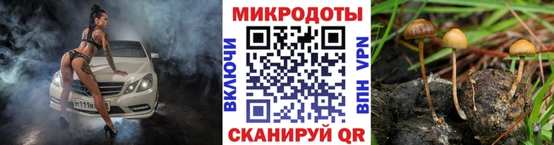 закладка  Сосновка  мега онион  Галлюциногенные грибы GOLDEN TEACHER 
